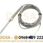 Cảm biến nhiệt độ PT100 2 dây